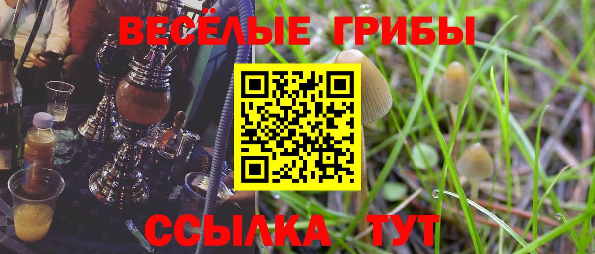 Можайск  магазин    Вход с VPN  Псилоцибиновые грибы Cubensis  Галлюциногенные грибы Psilocybe 